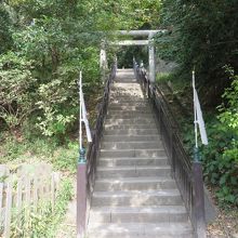 この階段を上った先に、頼朝の墓がる